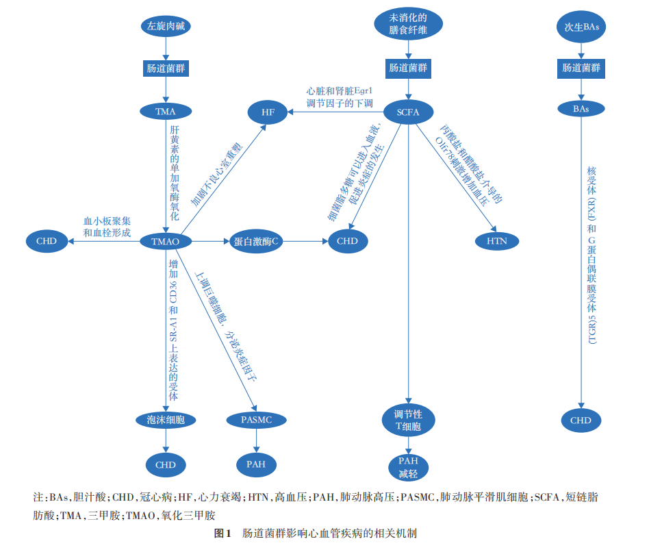 微信截图_20230818161742.png